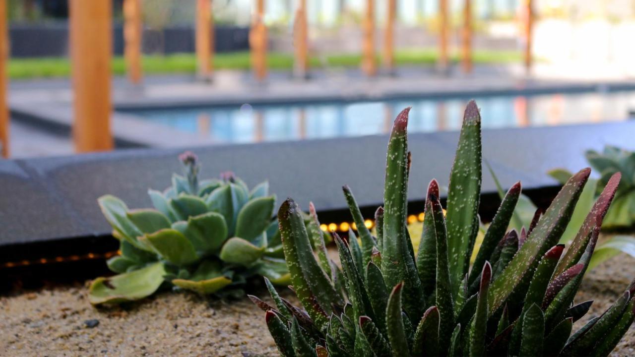 Quartz Hotel & Spa Tijuana Exteriör bild